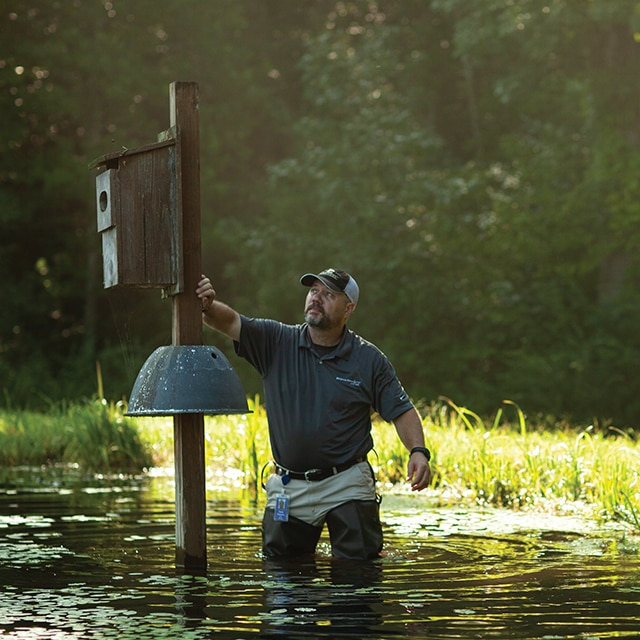 A man wading in a marsh with his arm leaning against a tall wood pole with a birdhouse.