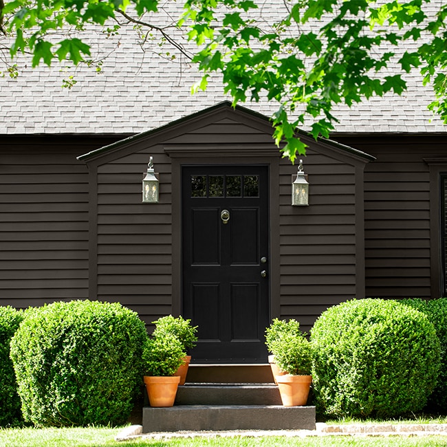 A dark brown-painted house with a black front door, potted plants on the front steps and a front green hedge.