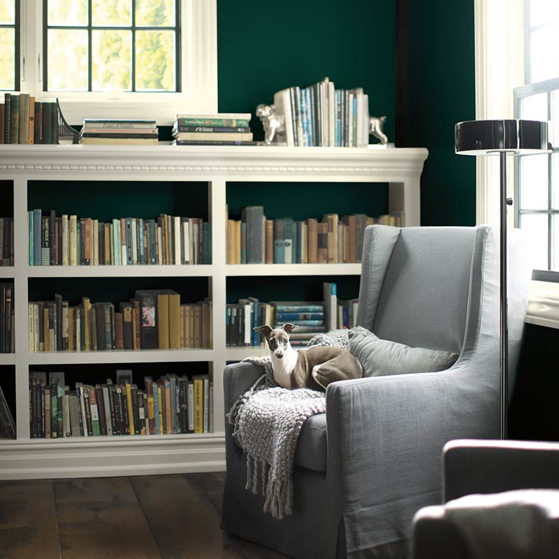 A dark green-painted library with dog nestled on comfy chair includes white paint on both trim and bookcases. Color of the Year 2019