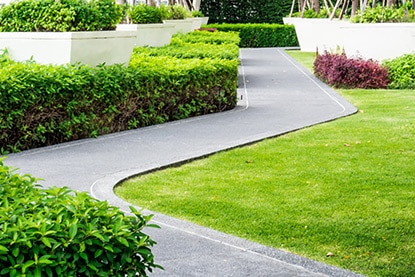 Winding paved path with surrounding shrubbery.