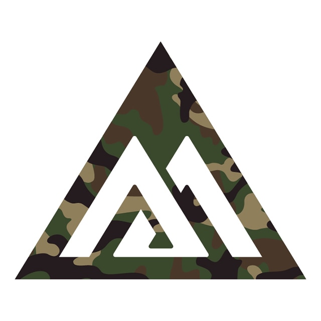 Benjamin Moore Logo VALOR Triangle Icon.