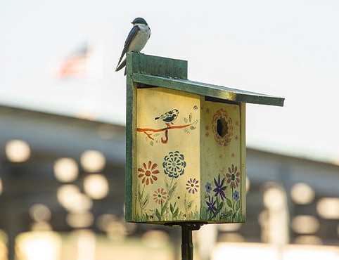 A bird sitting on a bird house painted with colorful flowers, on the grounds of a Benjamin Moore facility.