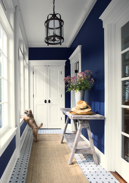 Cool Blue Home Paint Color Scheme Pre-selected Spa Colors 