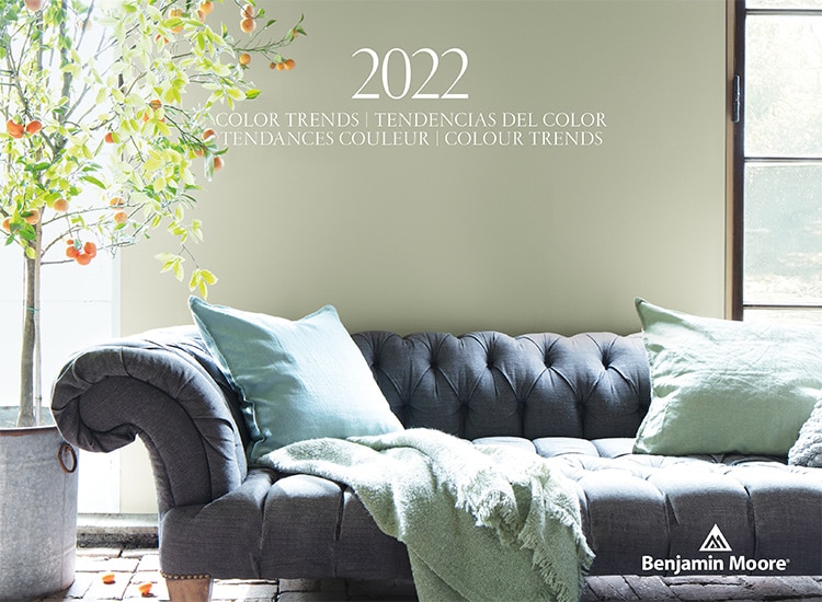 Colour Trends & Colour of the Year 2022 – October Mist CC-550