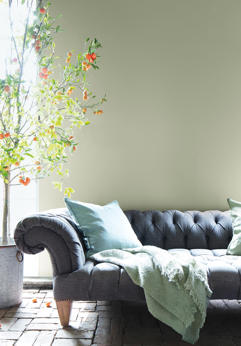Colour Trends & Colour of the Year 2022 – October Mist CC-550