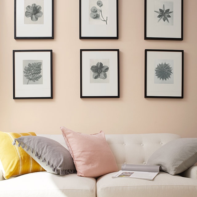 Un mur peint en vieux rose sur lequel six cadres de photo sont accrochés au-dessus d’un canapé blanc décoré de coussins jaune, rose et gris.
